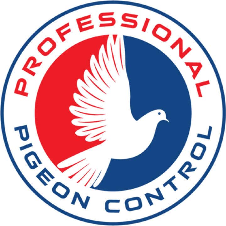 Pigeon Control Phoenix AZ