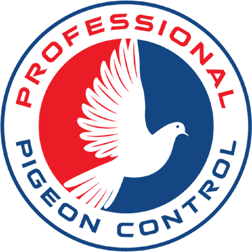 Free Pigeon Removal Cost Quote